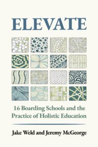 Cover of Elevate book with colored tiles